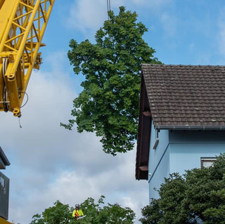 c831bb_13edfc56b2134bd1b3ba51aeef1482fb~mv2