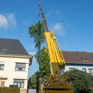 c831bb_92f2f1438ccc40aebeb5adf25d88faf9~mv2