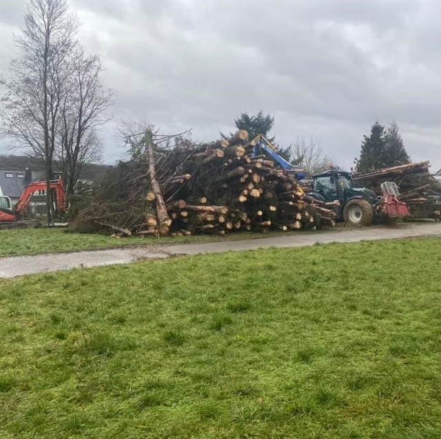 imgi_18_c831bb_c668bc21ae83475c981b1fbdf3f728f8~mv2