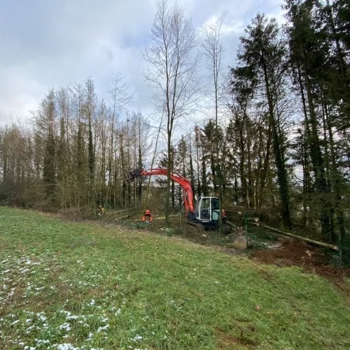 imgi_24_c831bb_1be2f9a3415549468460109c2b34f75d~mv2