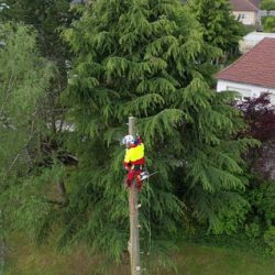 c831bb_3131d9c66f94438e85db31956be2bf6c~mv2