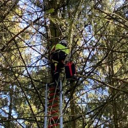 c831bb_e6d3184ba30c438bbf5e3698ed615272~mv2